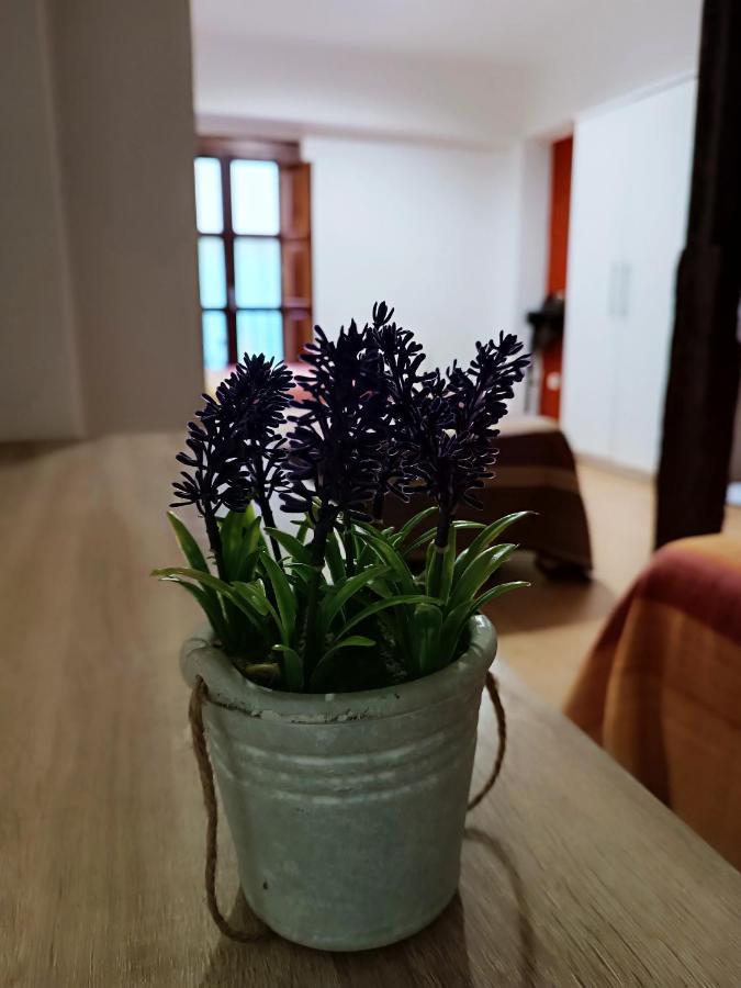 Corrala De San Anton. Sencillo Apartamento En Pleno Centro กรานาดา ภายนอก รูปภาพ